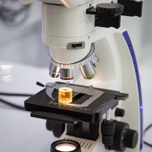 laboratory analysis microscope / inspection / optical / digital camera